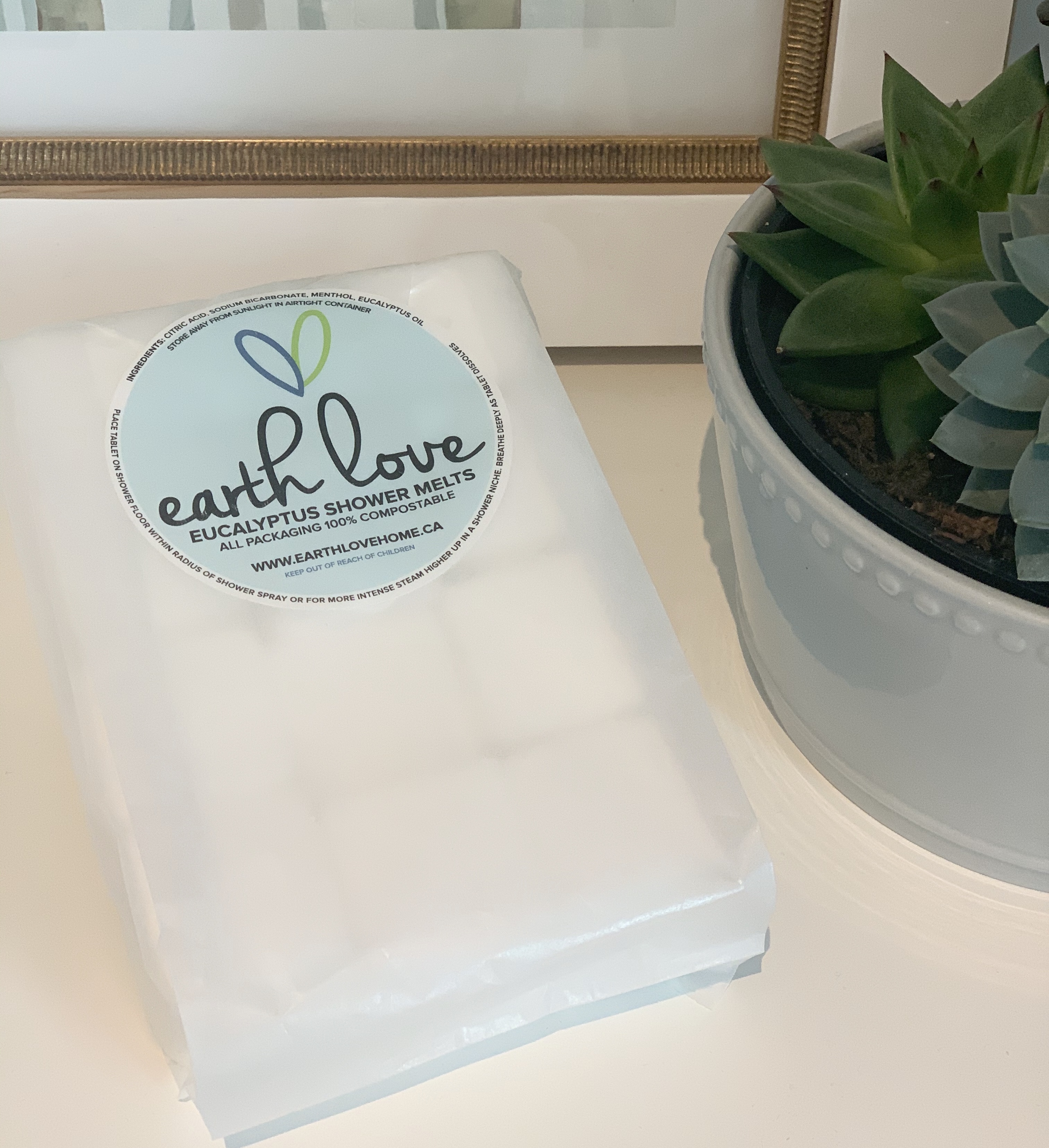 Eucalyptus Shower Melts